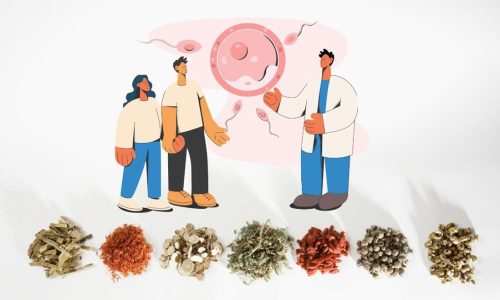 The efficacy of traditional Chinese medicine on pregnancy rate in IVF patients